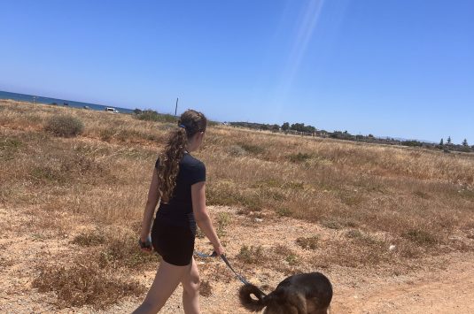 Erasmus+: Ein Praktikum auf Kreta