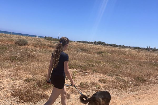 Erasmus+: Ein Praktikum auf Kreta